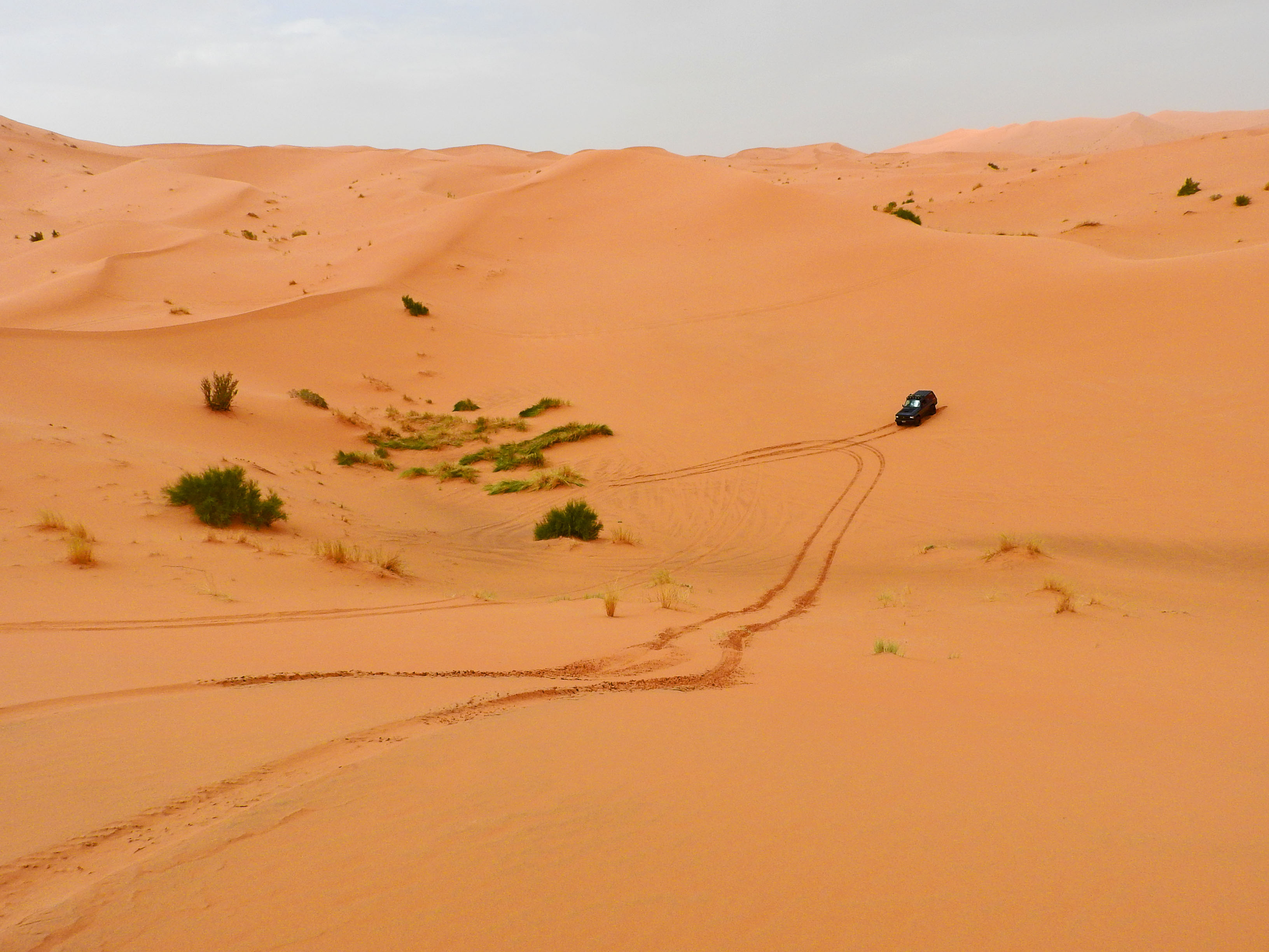 SAHARA CON 4X4 GUIDA SU SABBIA